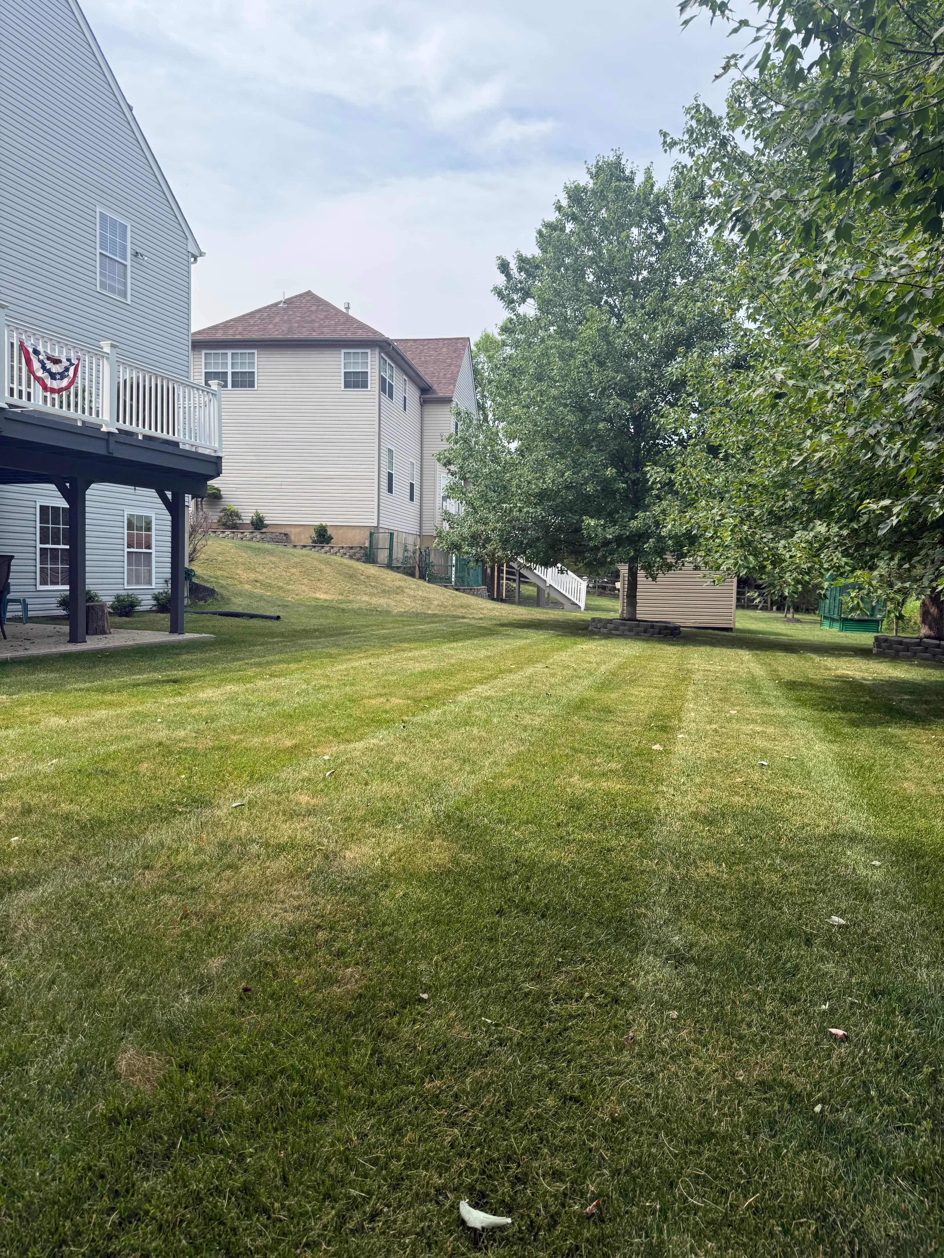 Freshly mowed lawn with clean stripes
